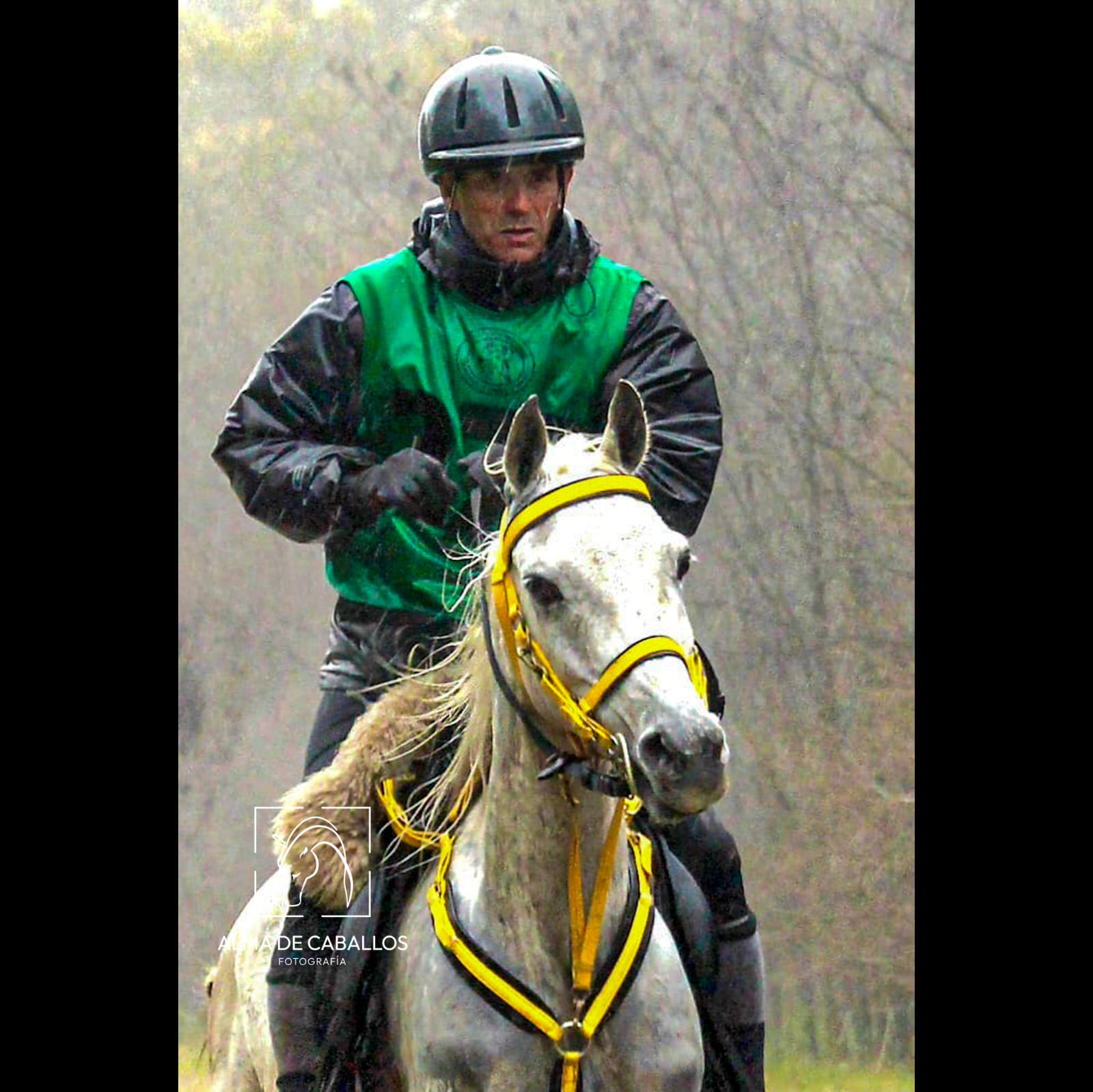 Luna, la yegua tordilla de Alejandro