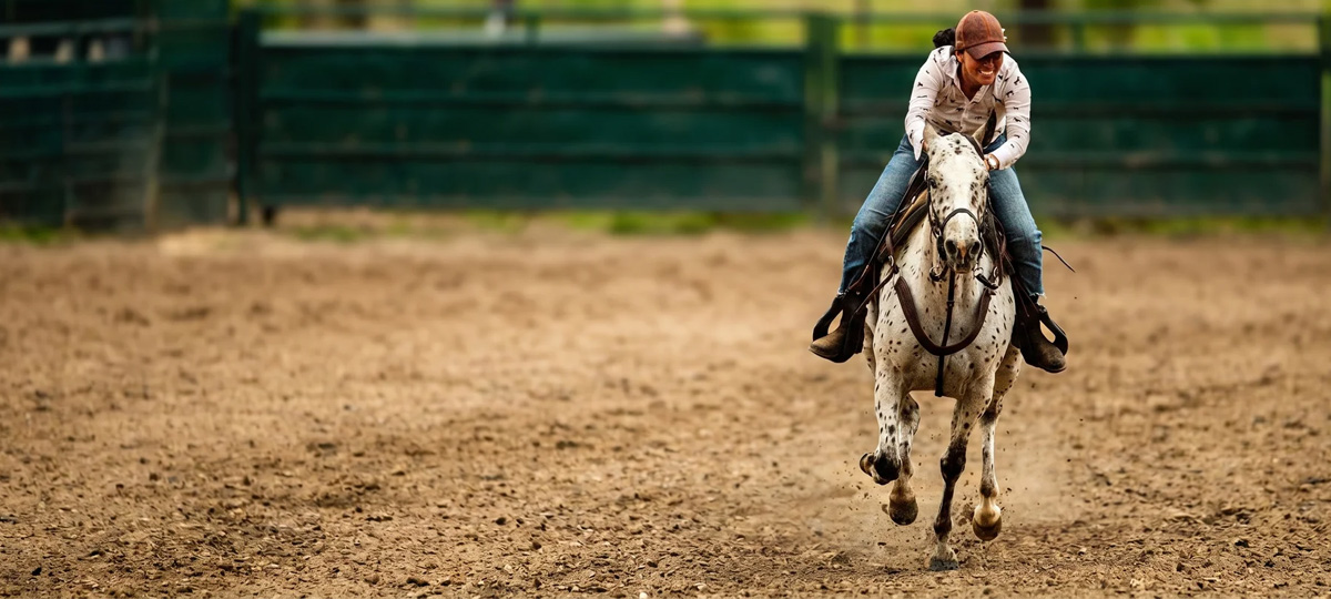 Estacas y Caballos