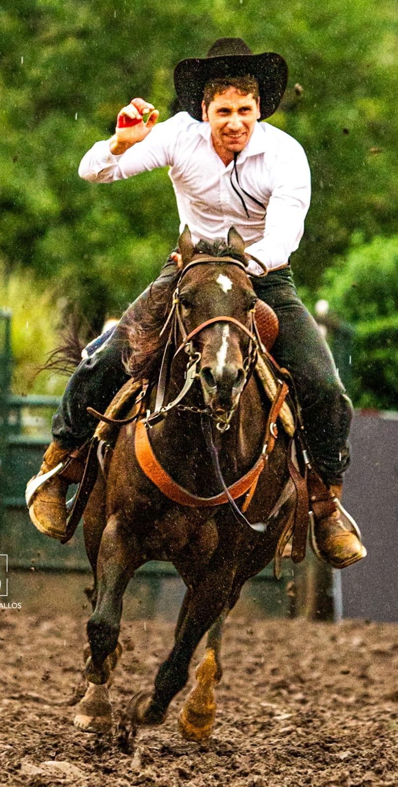 Estacas y Caballos